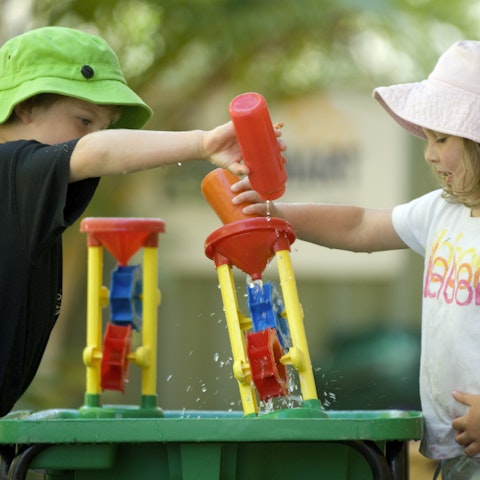 Family, friends and carers programs